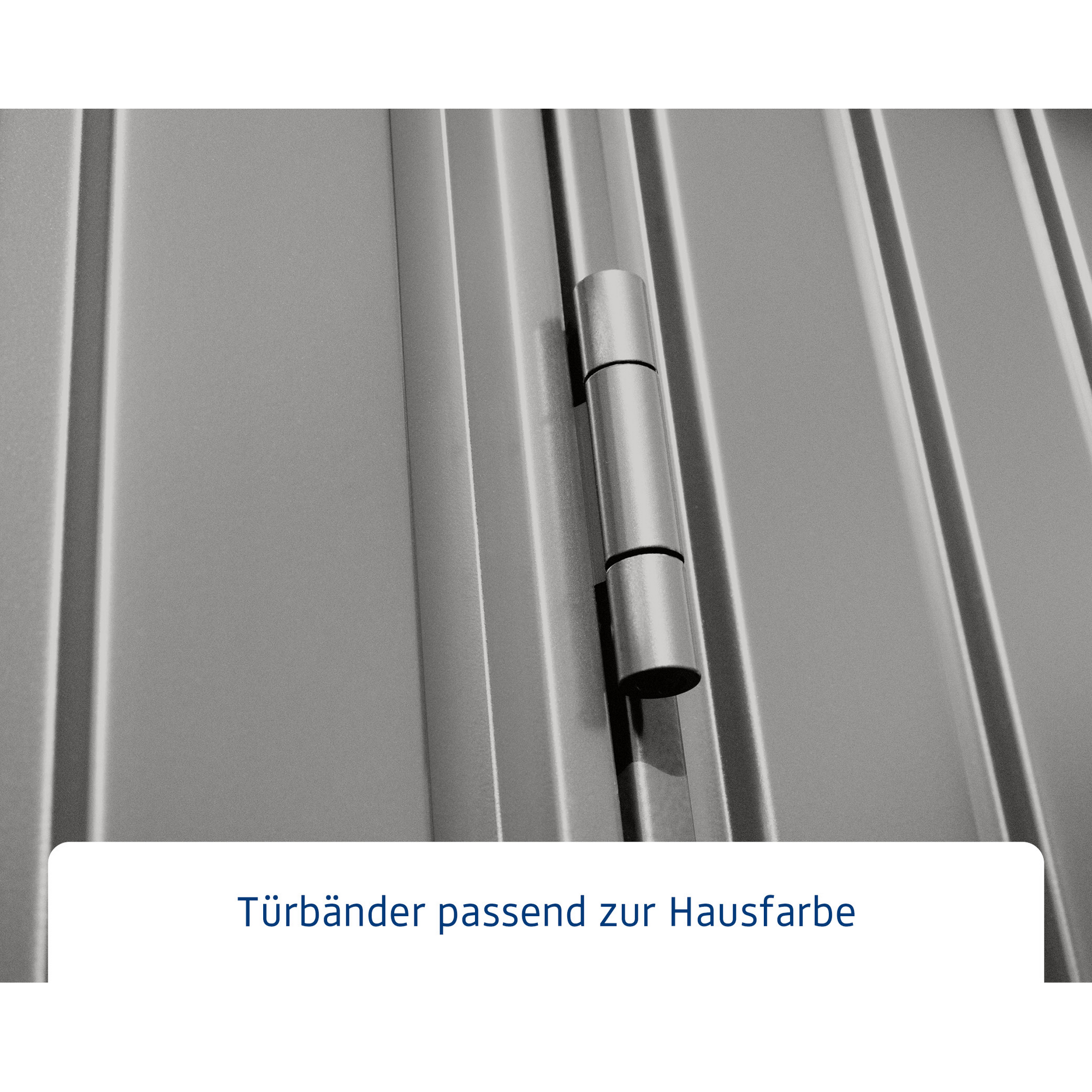 Gerätehaus 'Trend-P Typ 2' graualuminium 238 x 238 cm, mit Doppeltür + product picture