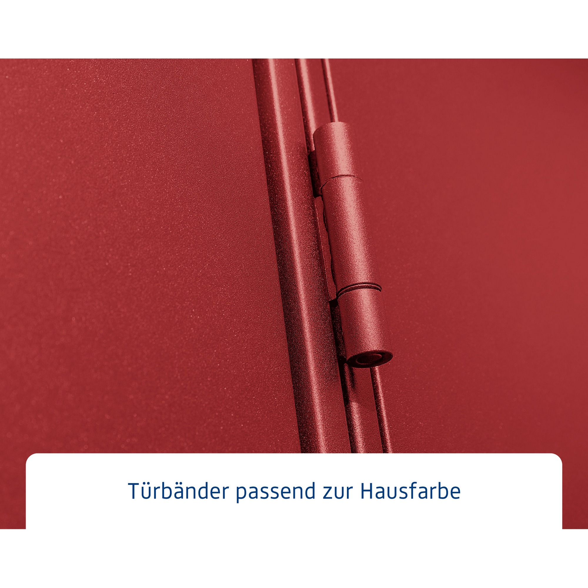 Gerätehaus 'Elegant-P Typ 1' purpurrot 238 x 107,8 cm, mit Einzeltür + product picture