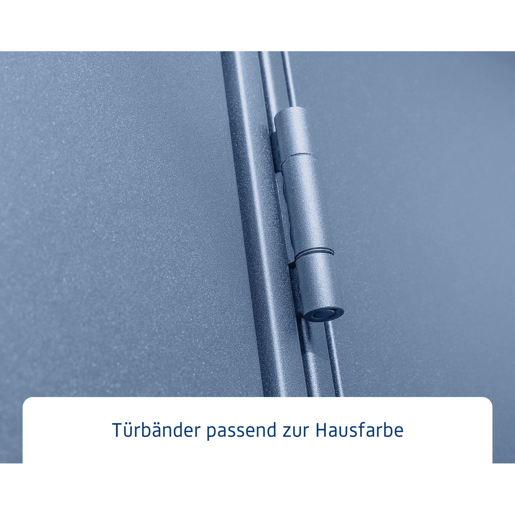Gerätehaus 'Elegant-P Typ 3' taubenblau 302,8 x 238 cm, mit Einzeltür