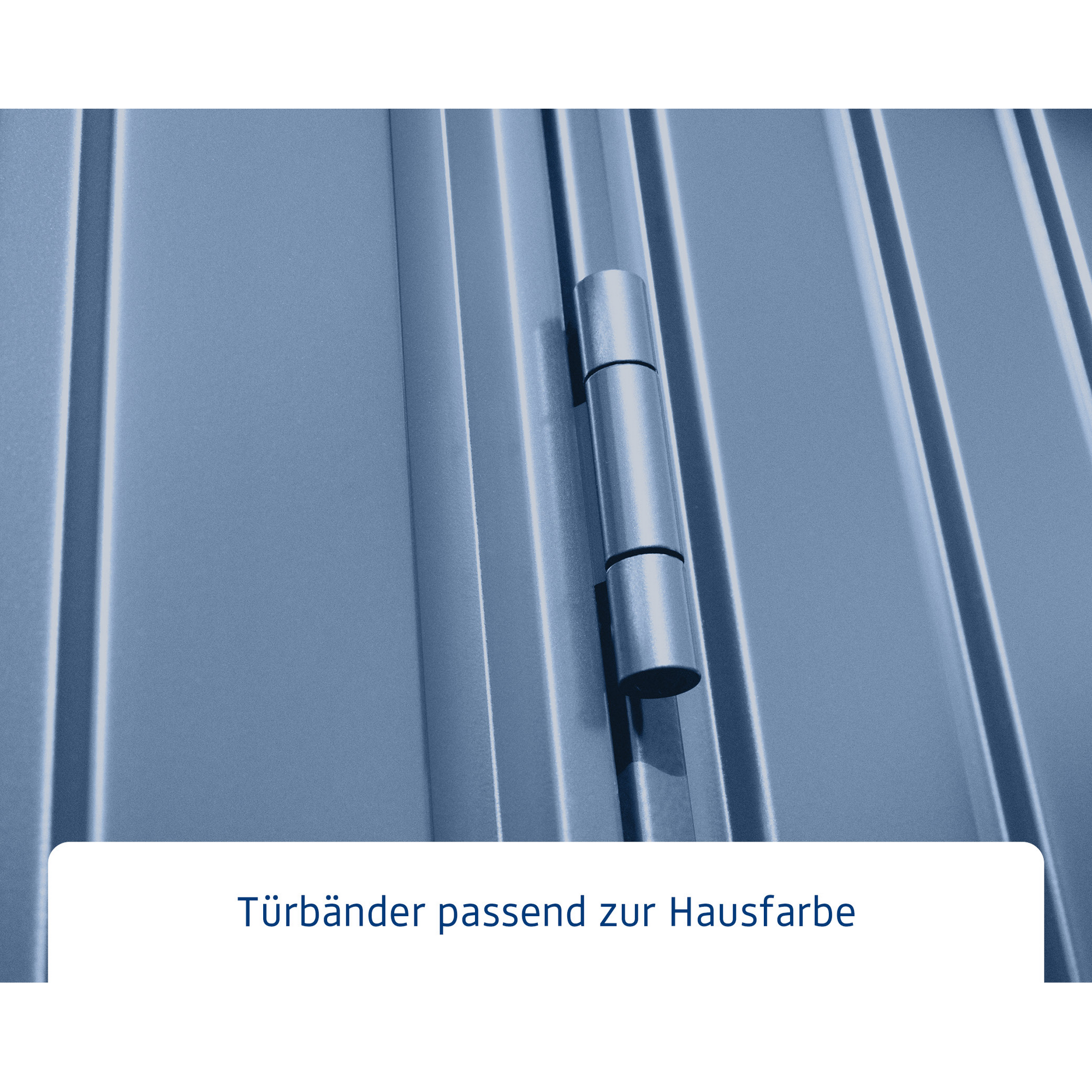 Gerätehaus 'Trend-S Typ 1' taubenblau 238 x 107,8 cm, mit Einzeltür + product picture