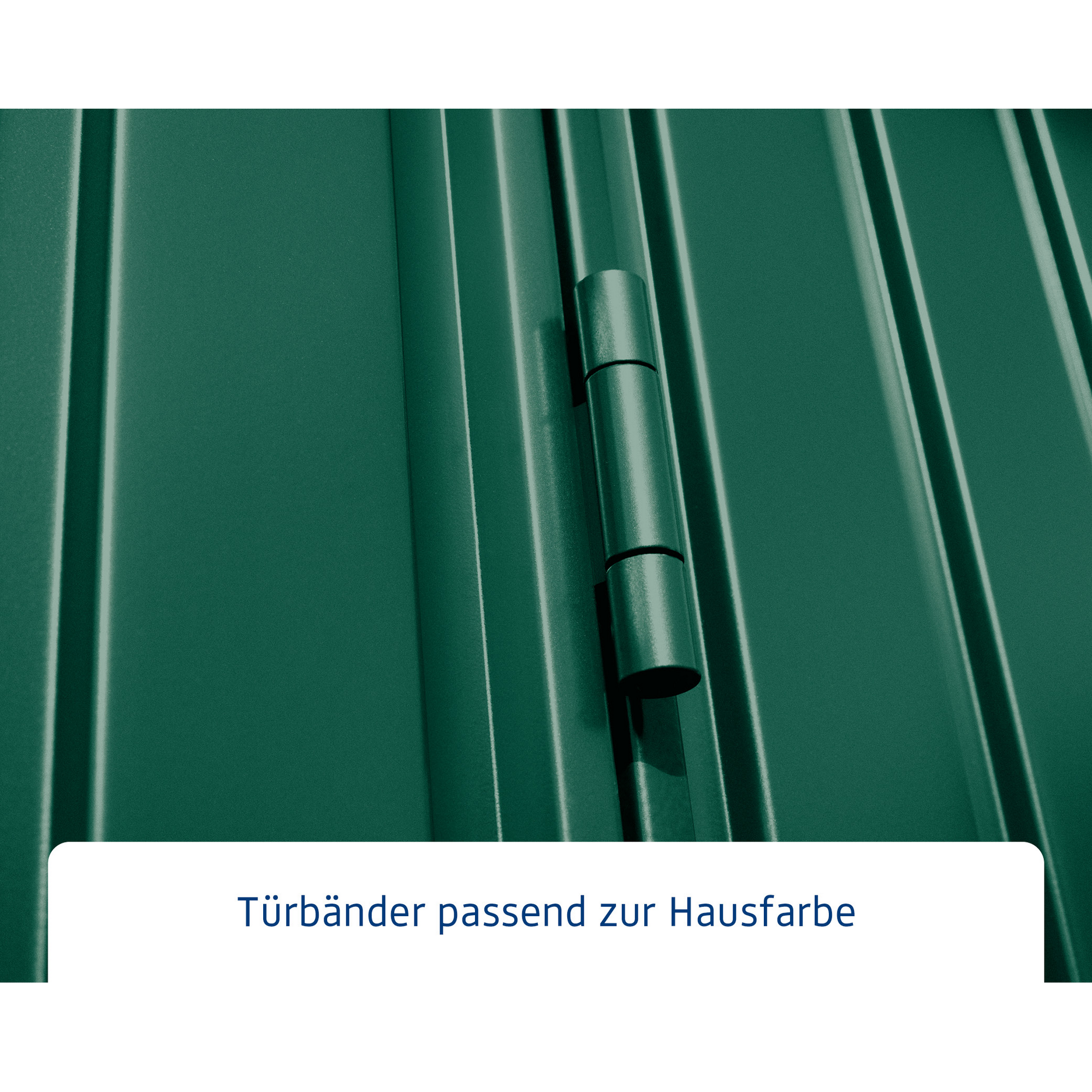 Gerätehaus 'Trend-S Typ 1' moosgrün 238 x 107,8 cm, mit Einzeltür + product picture