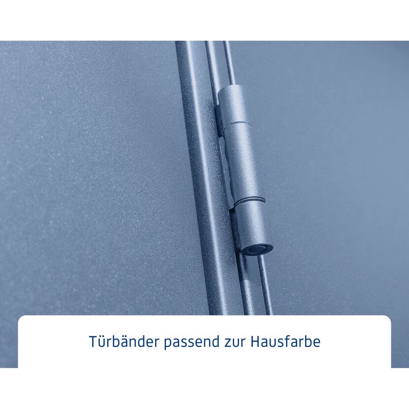 Türklopfer in Hausfarbe