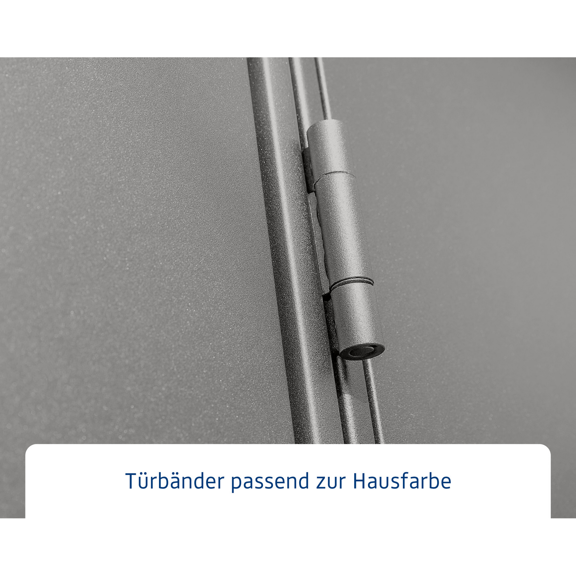 Gerätehaus 'Elegant-S Typ 2' graualuminium 238 x 238 cm, mit Einzeltür