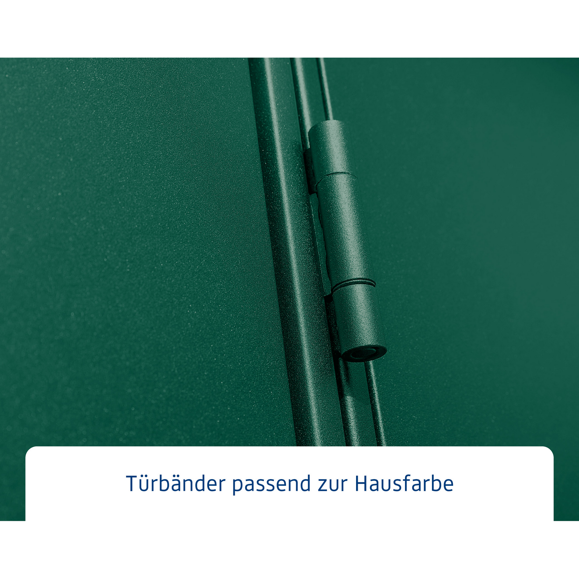 Gerätehaus 'Elegant-S Typ 3' moosgrün 302,8 x 238 cm, mit Einzeltür