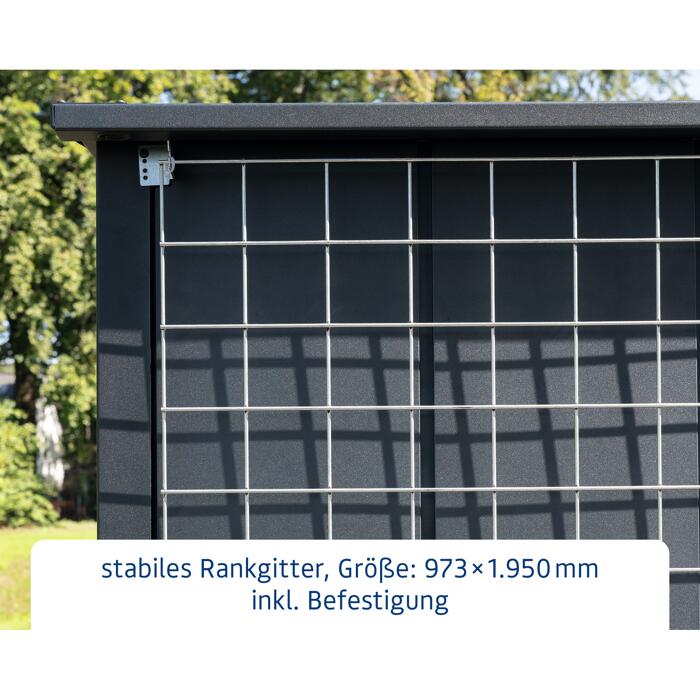 EcoStar Rankgitter Metall 192 x 91 cm für Gerätehaus