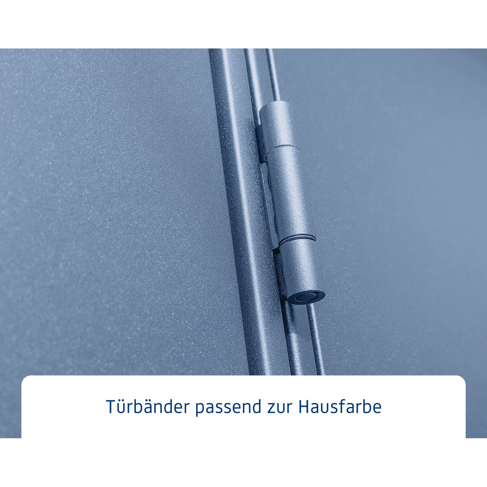 Gerätehaus 'Elegant-P Typ 3' taubenblau 302,8 x 238 cm, mit Doppeltür + product picture