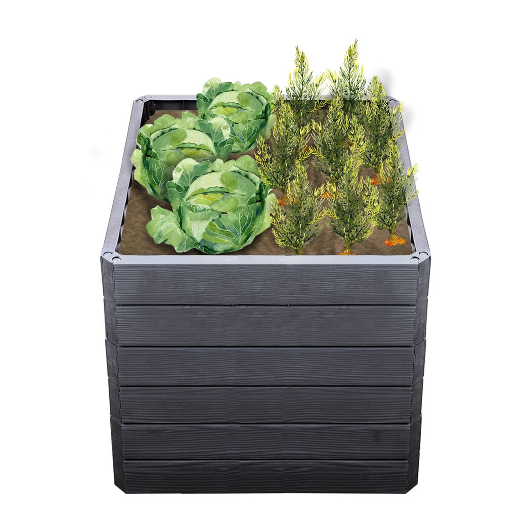Hochbeet ERGO QUADRO L 75 Wood mit Kohl und Karotten