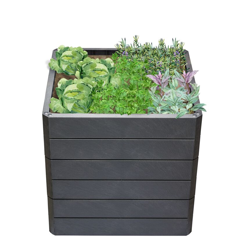 Hochbeet ERGO QUADRO L 75 Stone mit Kräutern und Kohl