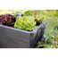 Hochbeet mit Salat und Kohl
