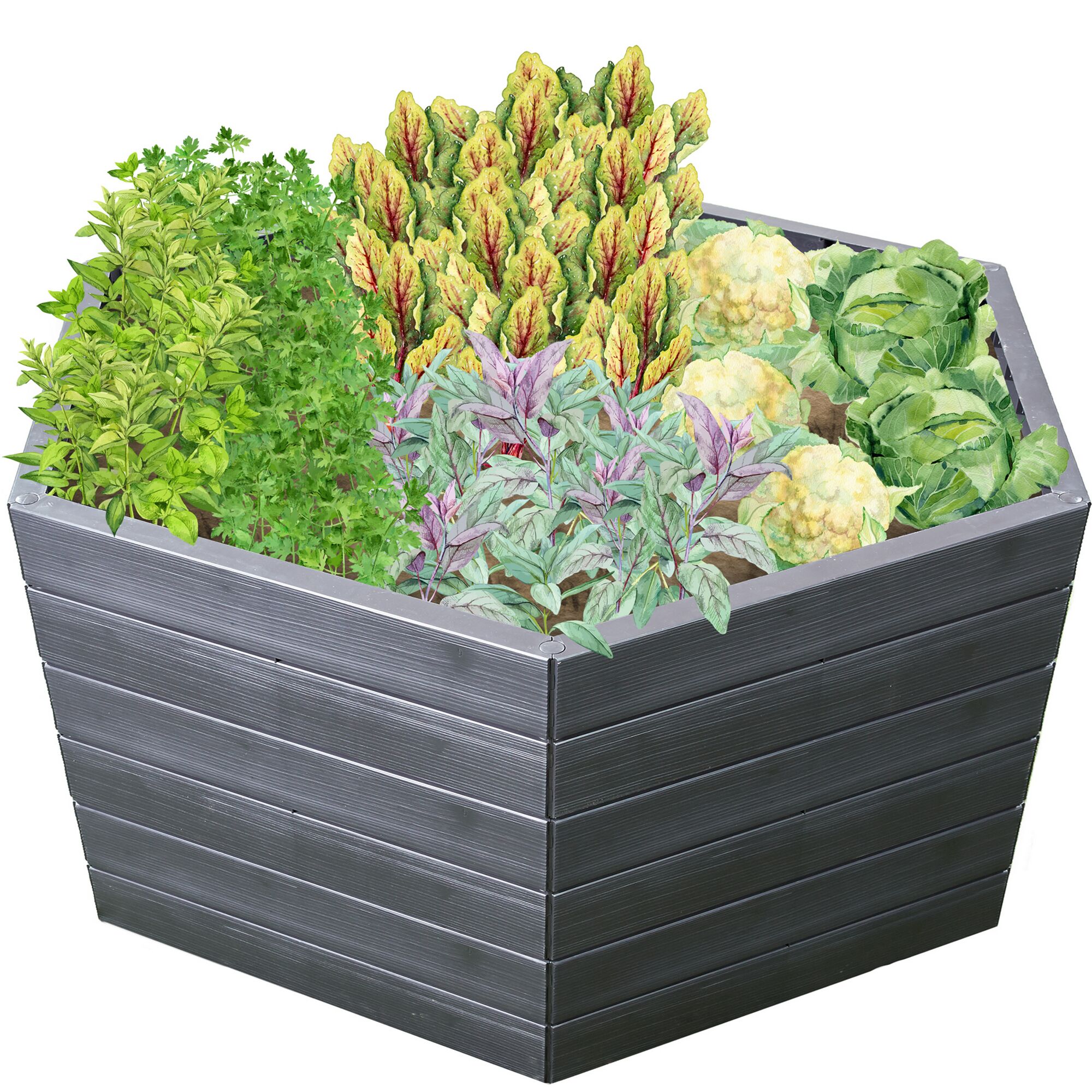 Sechseckiges Hochbeet mit verschiedenen Gemüsesorten