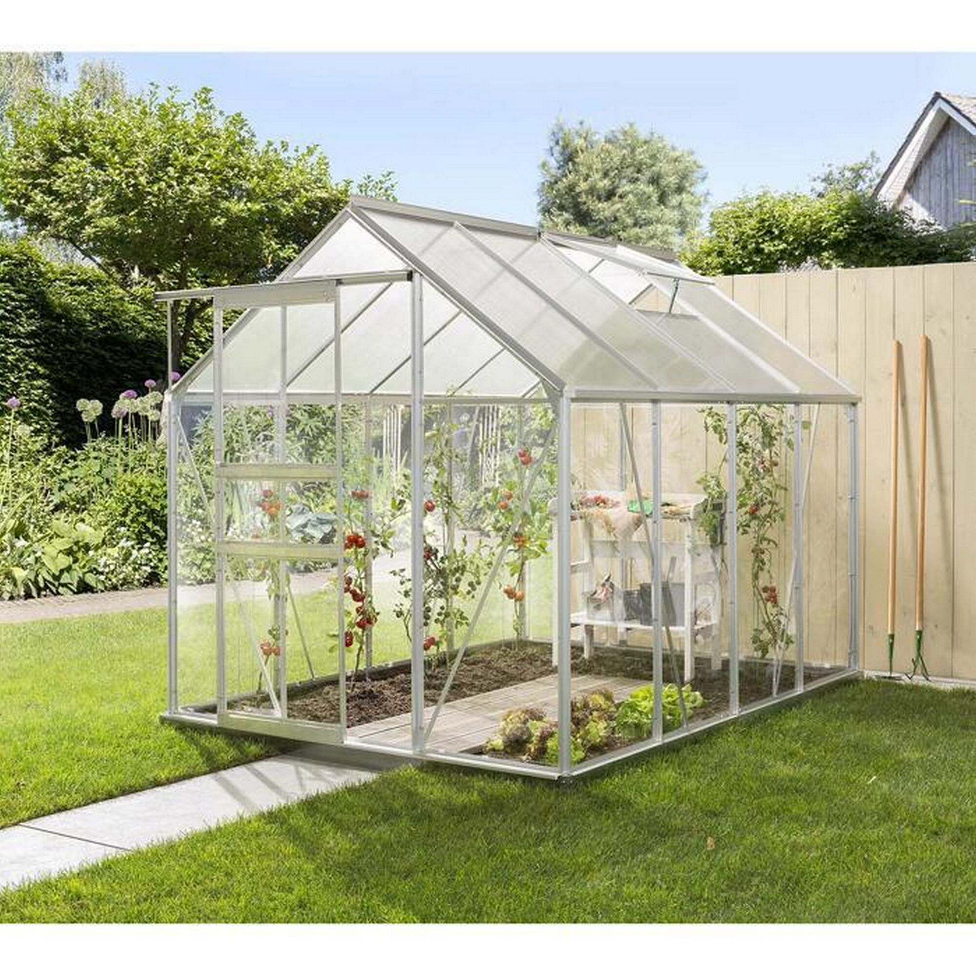 Gewächshaus mit Tomatenpflanzen