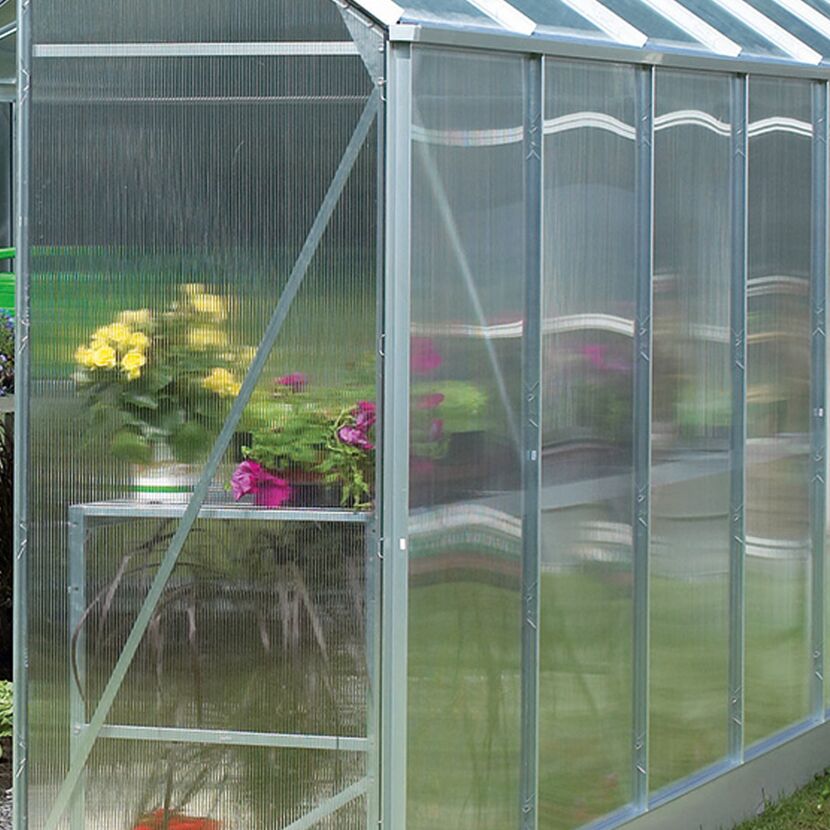 Gewächshaus mit geöffneter Tür und Blumen