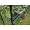 Gewächshausregal mit Pflanzen und Gartenwerkzeug