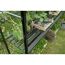 Gewächshausregal mit Pflanzen und Gartenwerkzeug