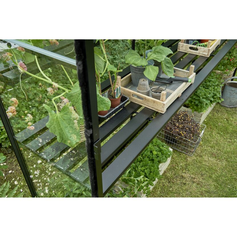 Gewächshausregal mit Pflanzen und Gartenwerkzeug