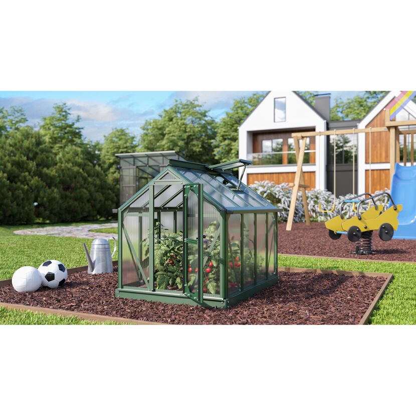 Kleines Gewächshaus mit Tomatenpflanzen im Garten