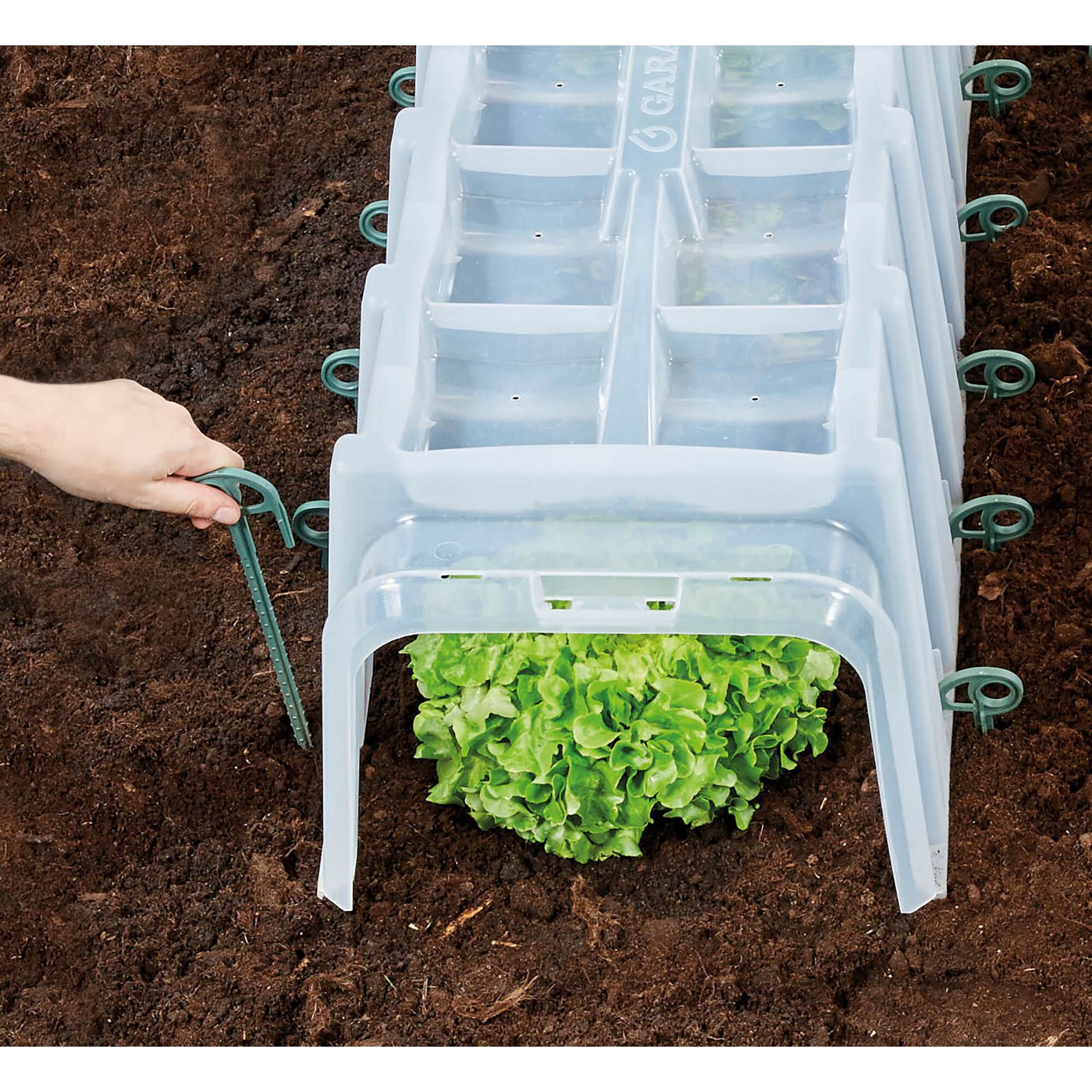 Person befestigt Pflanztunnel mit Erdspieß