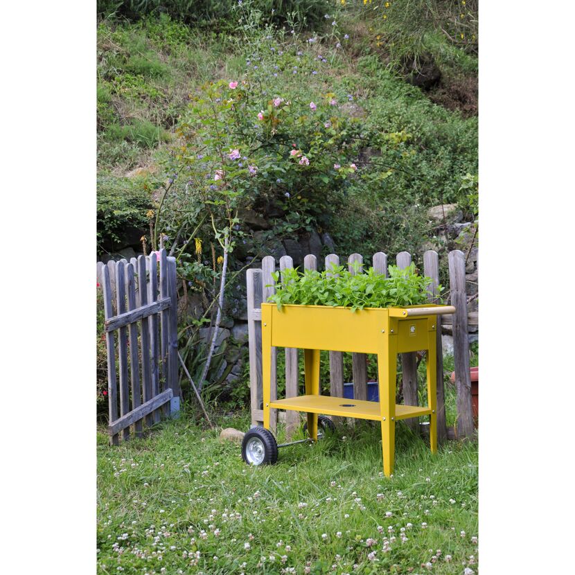 Gelber Kräuterkasten UrbanMustard im Garten