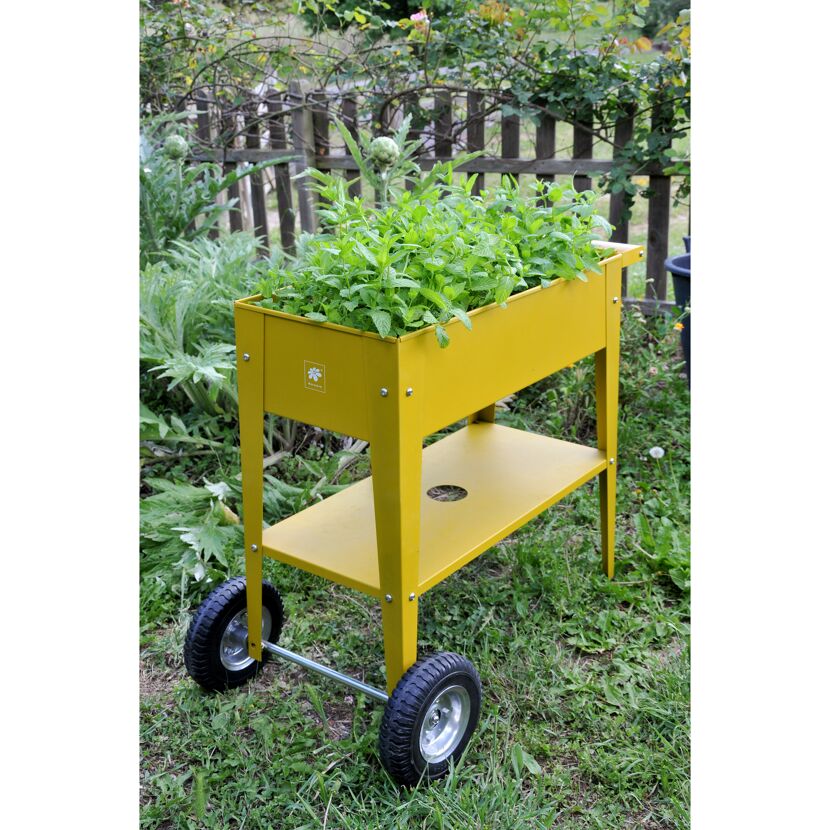 Hochbeet 'Barcelona' mustard Metall 85 x 50 x 80 cm