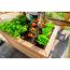 Person pflanzt Tomaten und Salat in ein Hochbeet