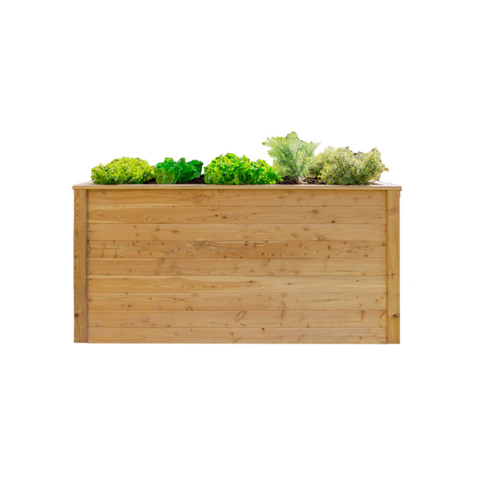 Hochbeet aus Lärchenholz mit verschiedenen Kräutern und Salatpflanzen