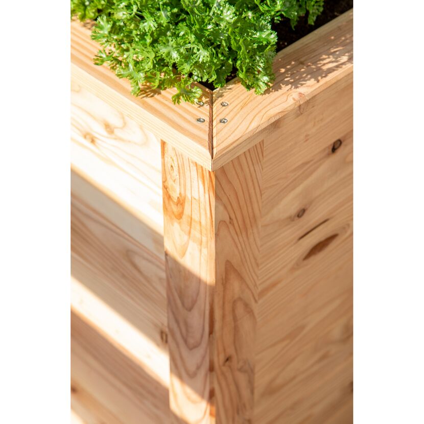 Hochbeet aus Lärchenholz mit Kräutern