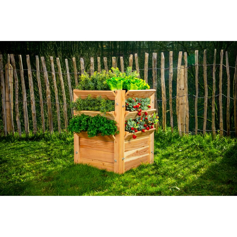 Hochbeet aus Holz mit Kräutern und Erdbeeren