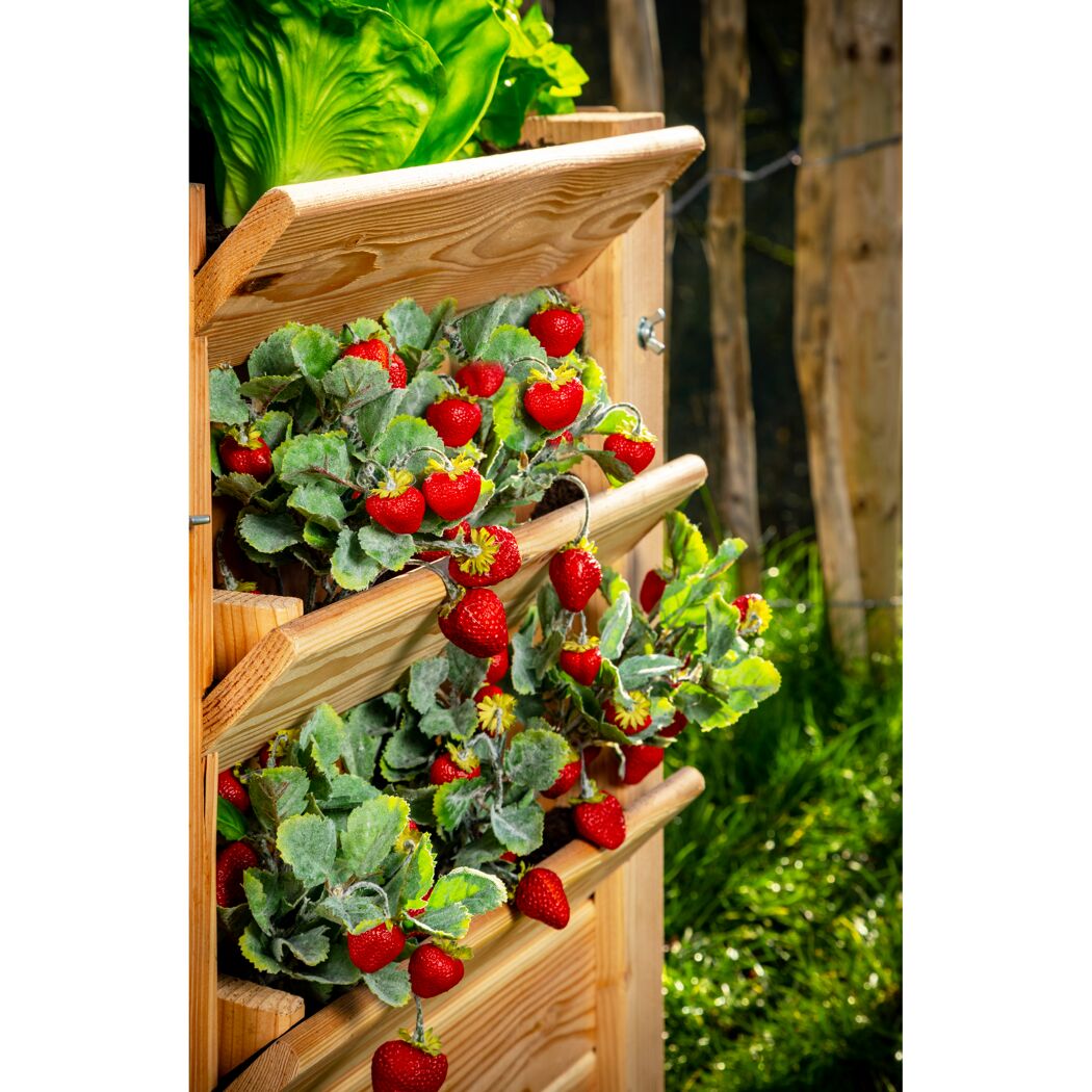 Hochbeet mit Erdbeeren und Salat