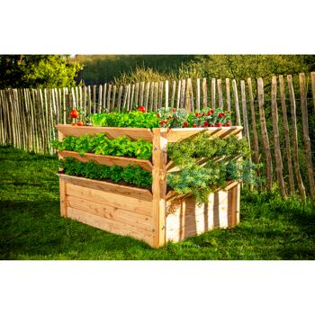 Hochbeet aus Holz mit verschiedenen Pflanzen
