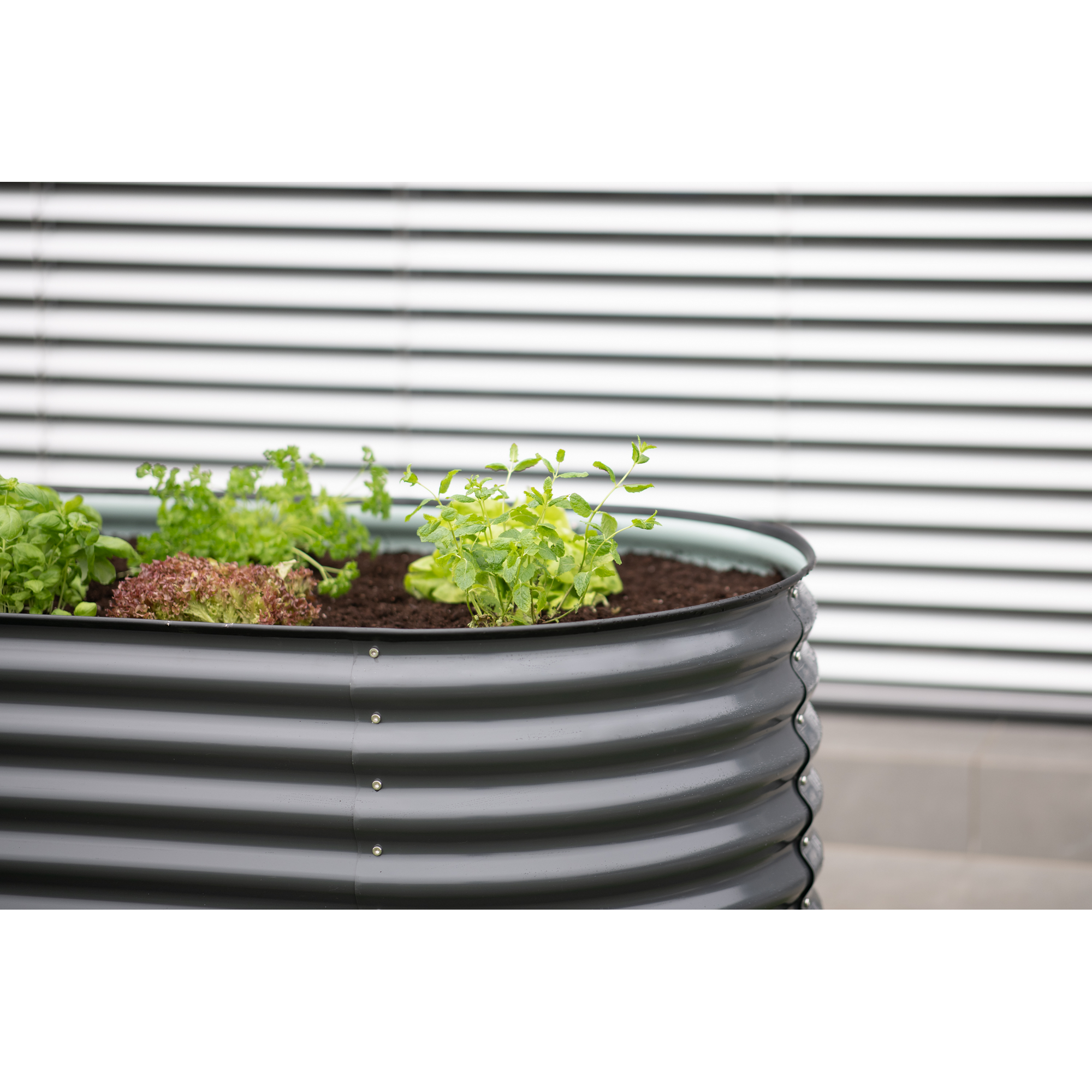 Hochbeet 'Oval Grow Faster' anthrazit Stahl Metall 80 x 240 x 82 cm + product picture