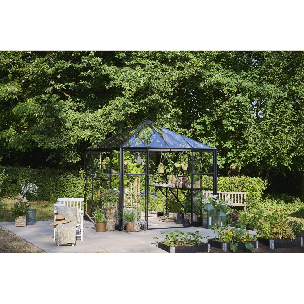 Gewächshaus mit Glasdach im Garten
