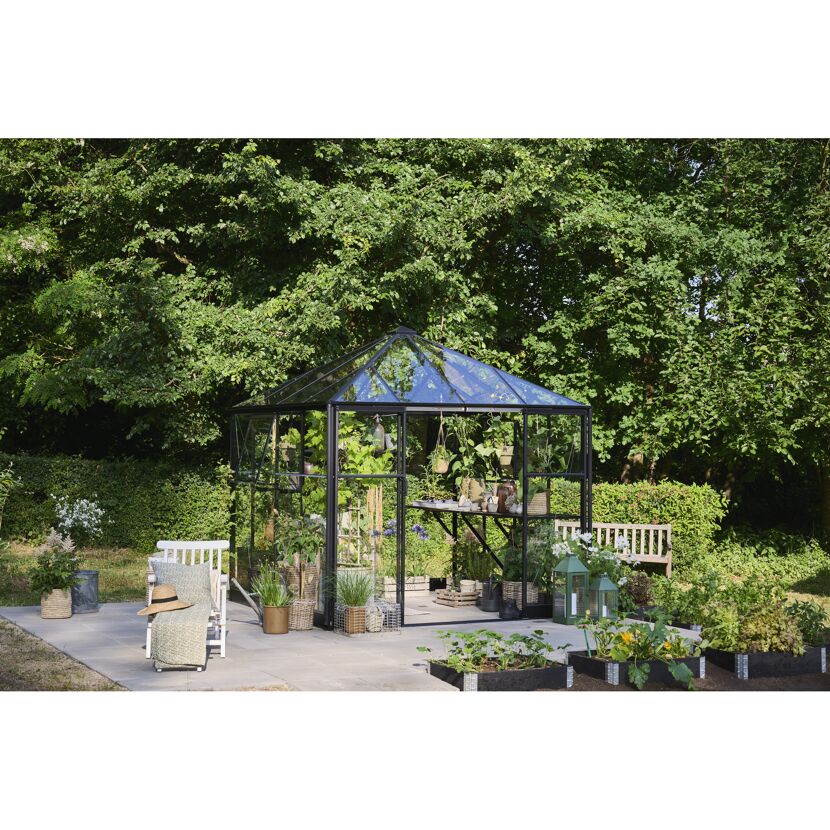 Gewächshaus mit Glasdach im Garten