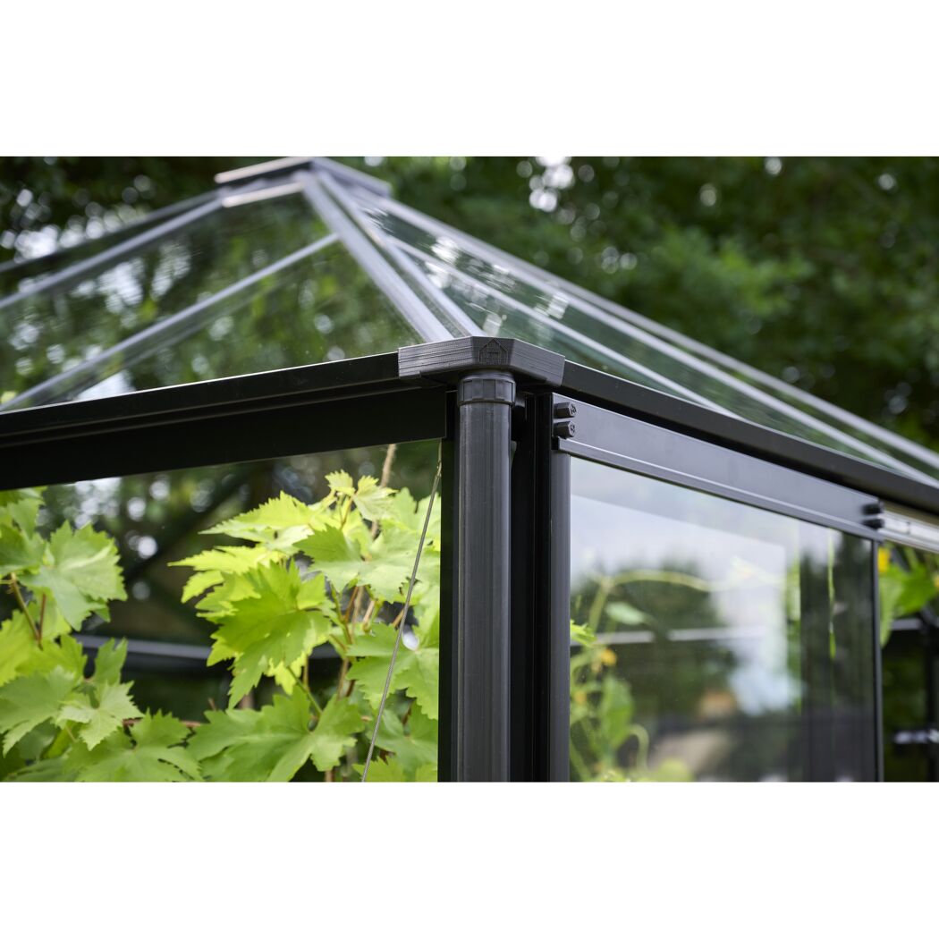 Gewächshaus Qube Square Schwarz