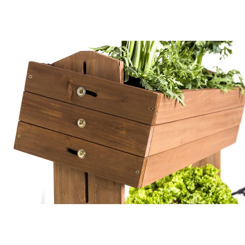 Holz-Hochbeet mit Kräutern