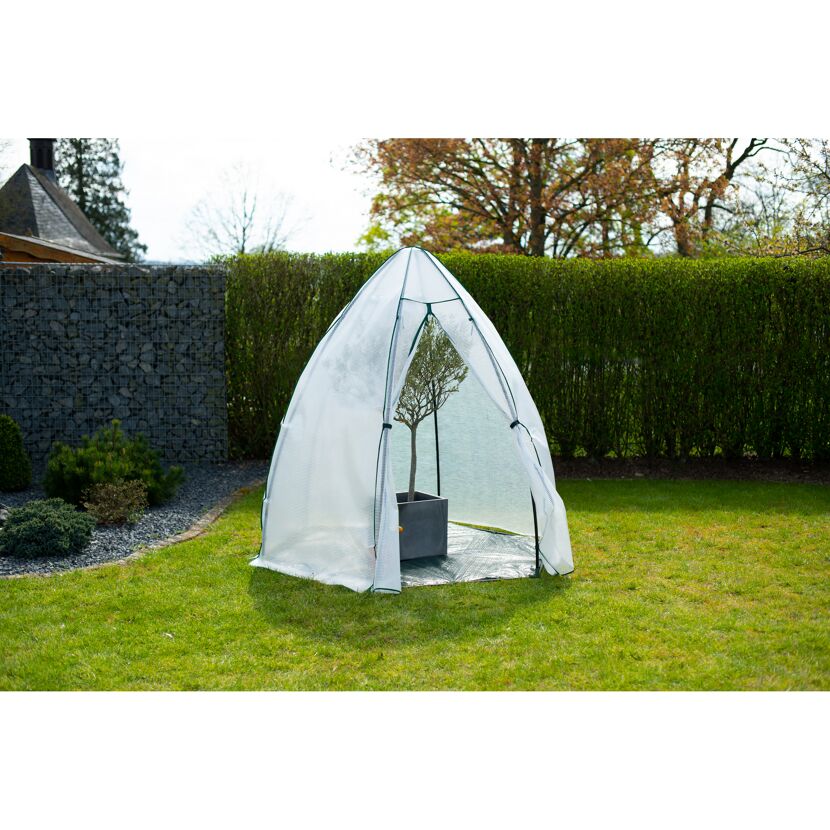 Gewächshaus mit Pflanze im Garten
