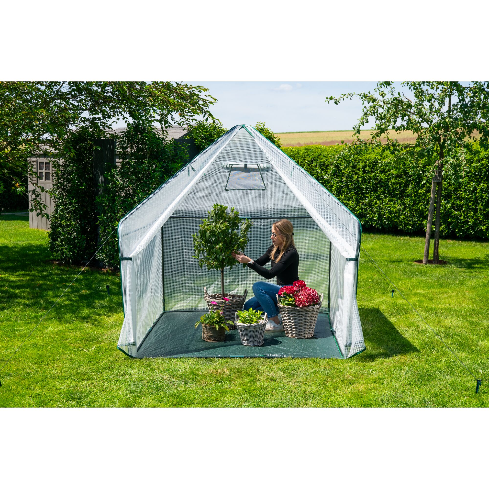 Person in Gewächshaus mit Pflanzen