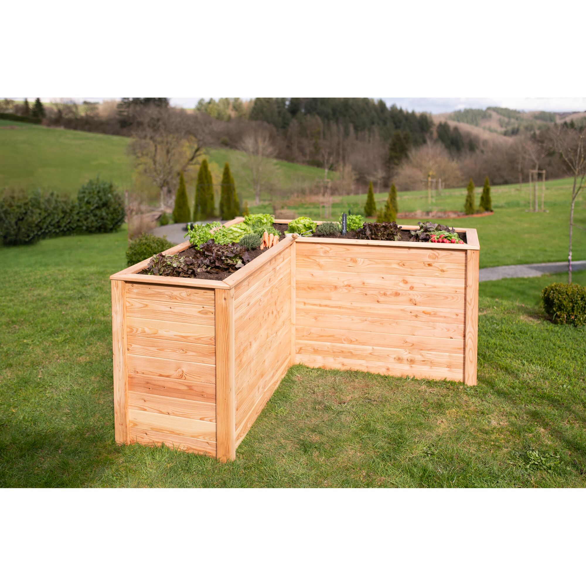 Holz-Hochbeet mit Gemüse und Kräutern