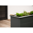 Hochbeet 'Primus M' anthrazit 100 x 50 x 77 cm