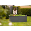 Hochbeet 'Primus XL' anthrazit 200 x 77 x 100 cm