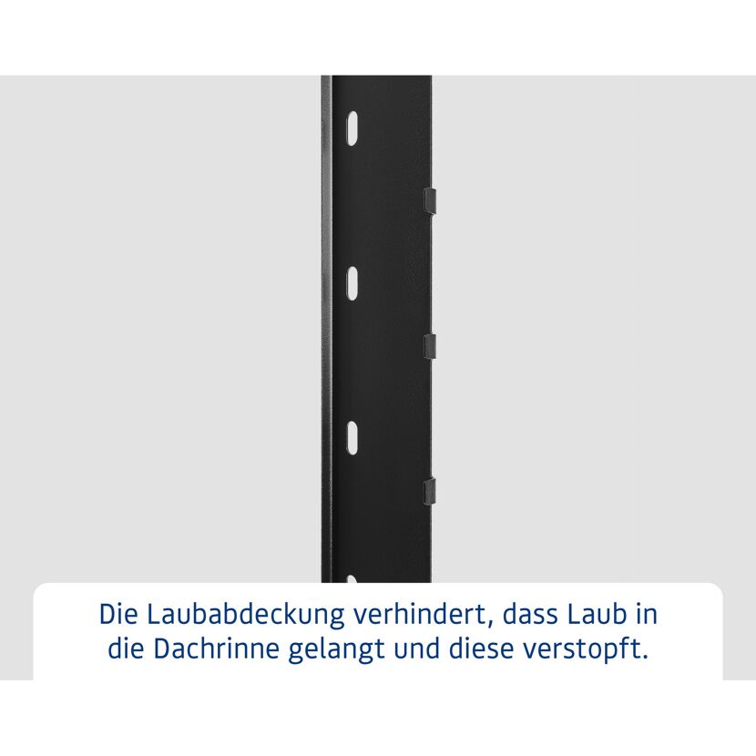 Laubabdeckung 'SD Typ 1' schwarz für Gerätehaus