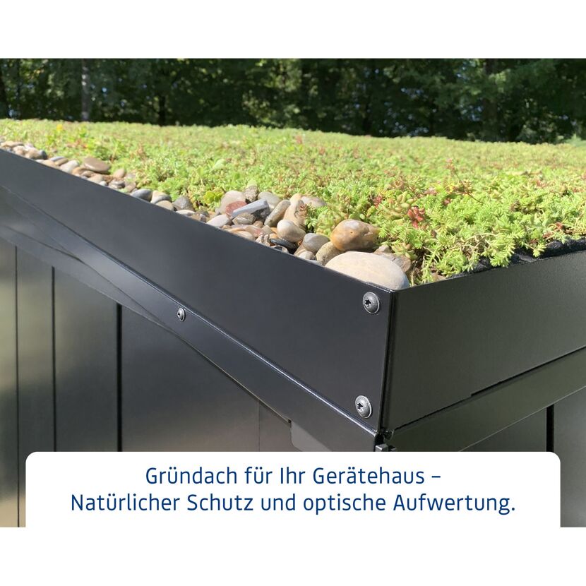 Gründach auf Gerätehaus