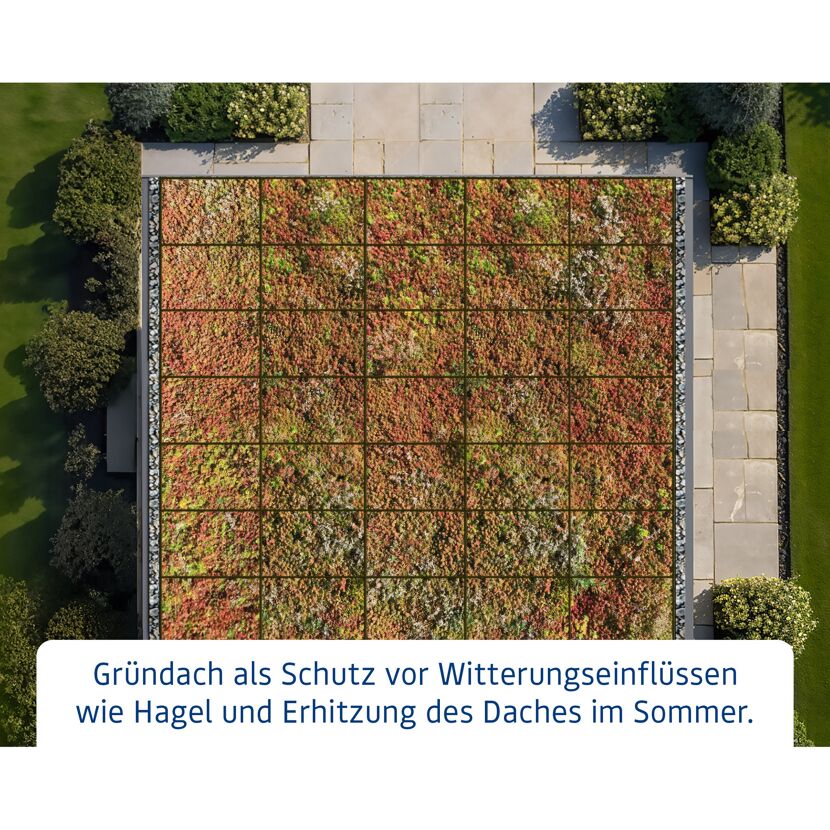 Grünes Flachdach
