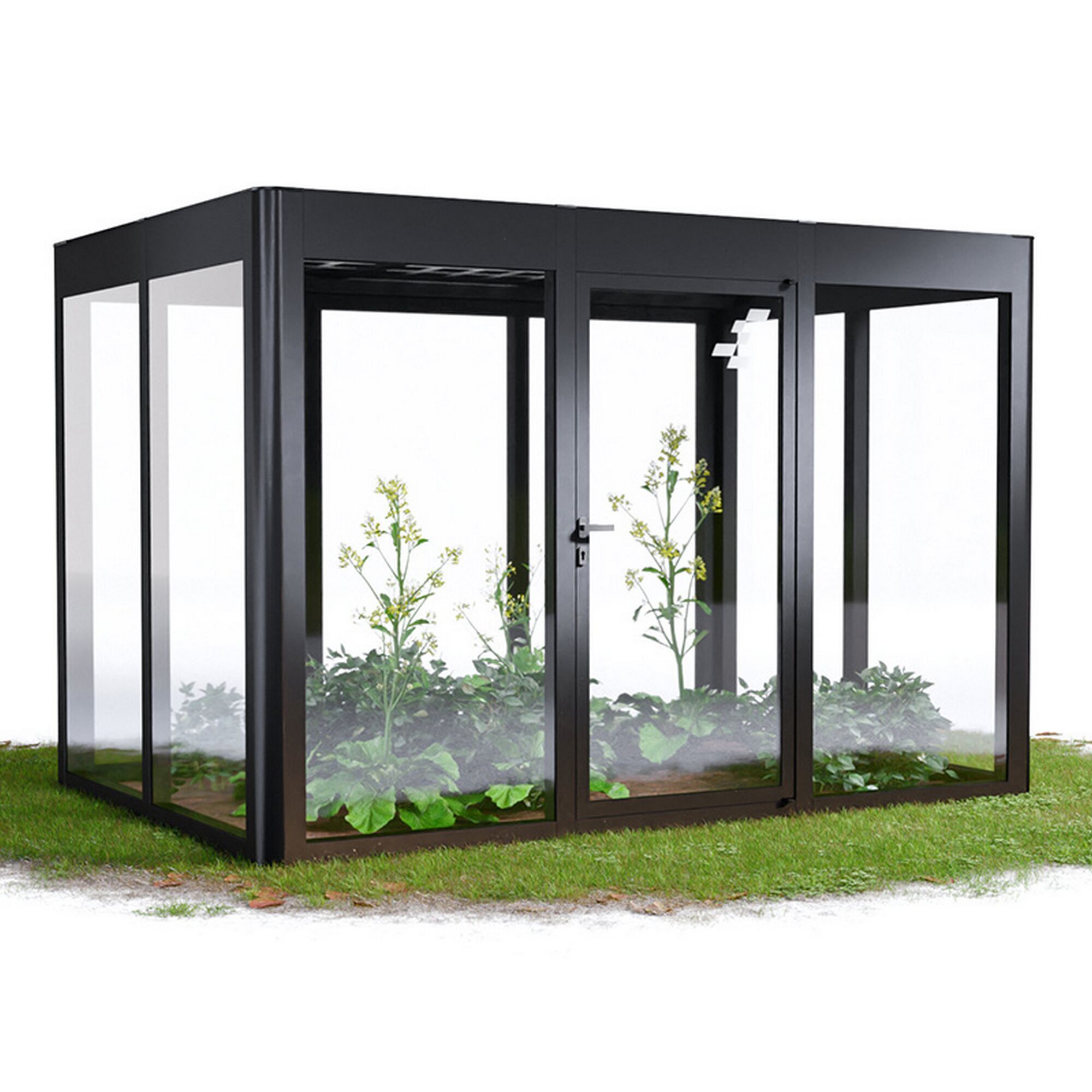 Gewächshaus mit geöffneter Tür