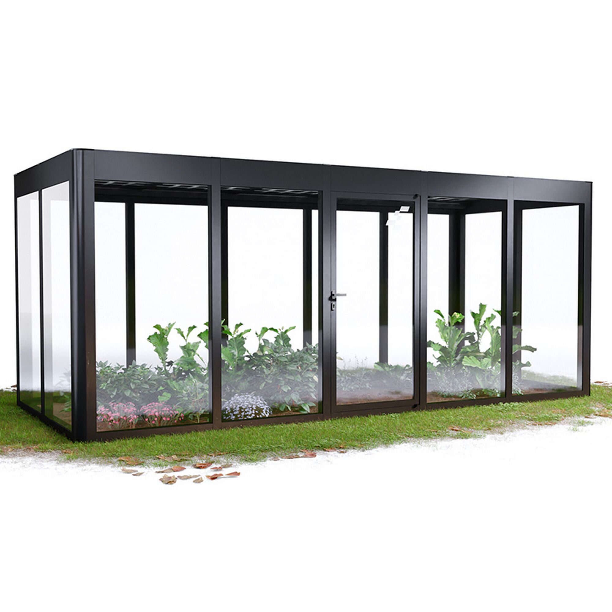 Gewächshaus mit Pflanzen im Garten