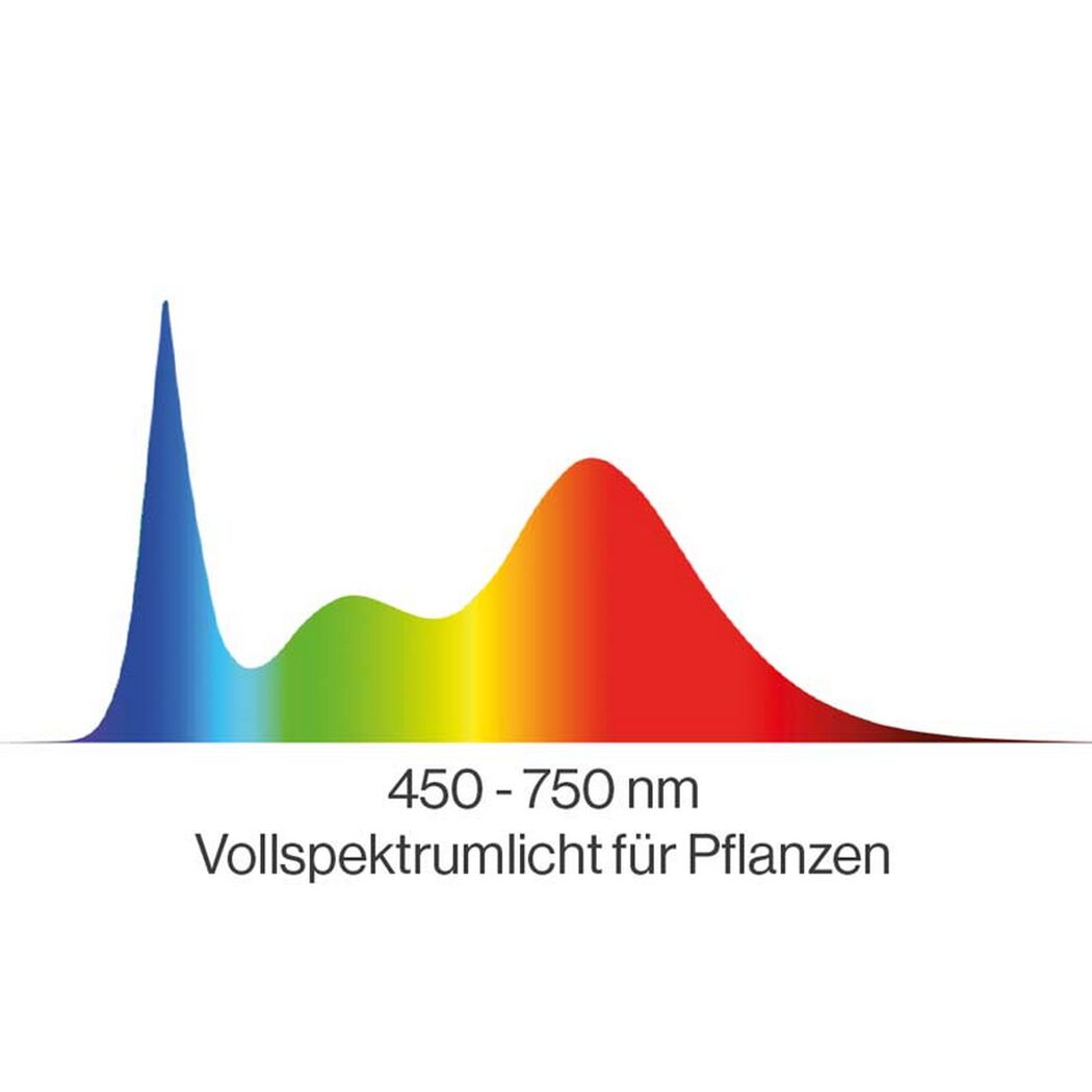 Vollspektrumlicht für Pflanzen