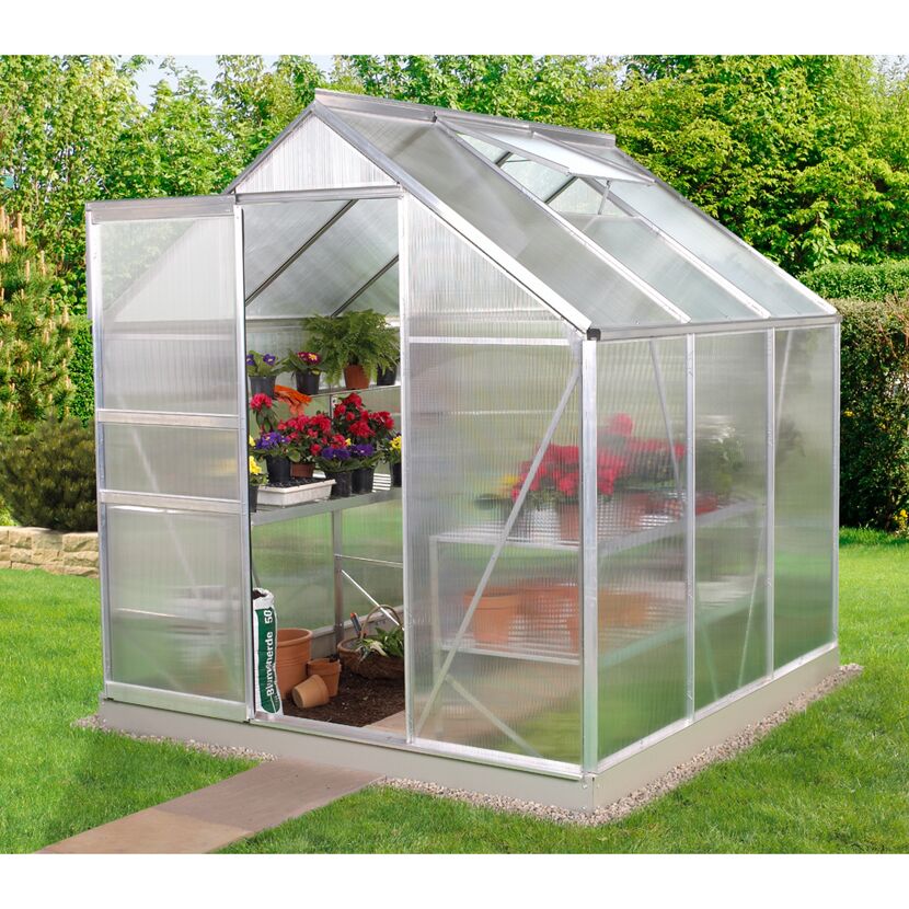 Gewächshaus Venus 3800 mit Blumen und Blumenerde