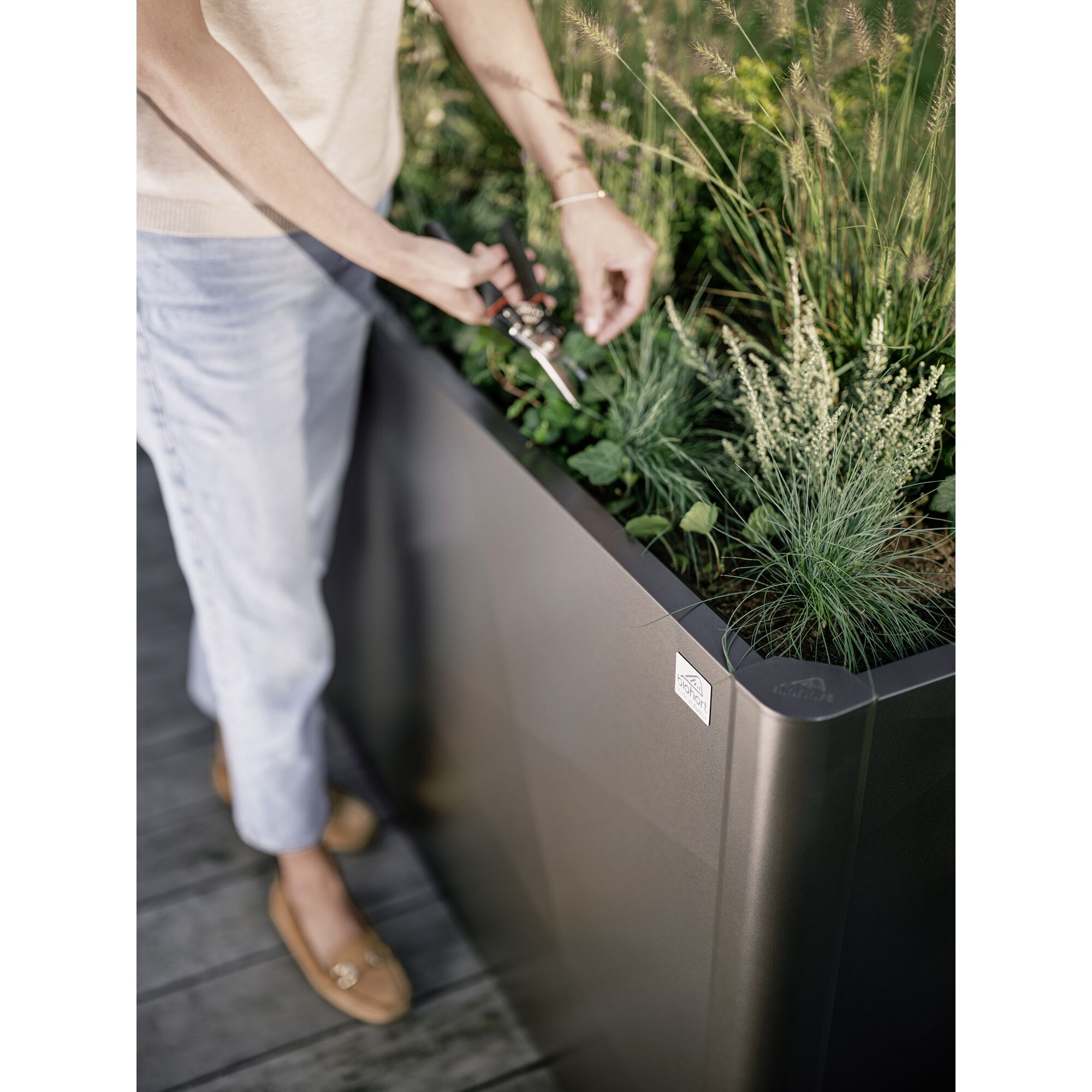 Person schneidet Pflanzen in Hochbeet mit Gartenschere