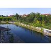 Ein Gartenteich mit Wasserpflanzen und Steinen.