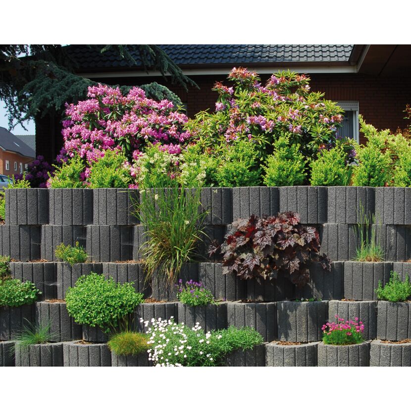 Anthrazite Pflanzringe mit verschiedenen Pflanzen und Blumen