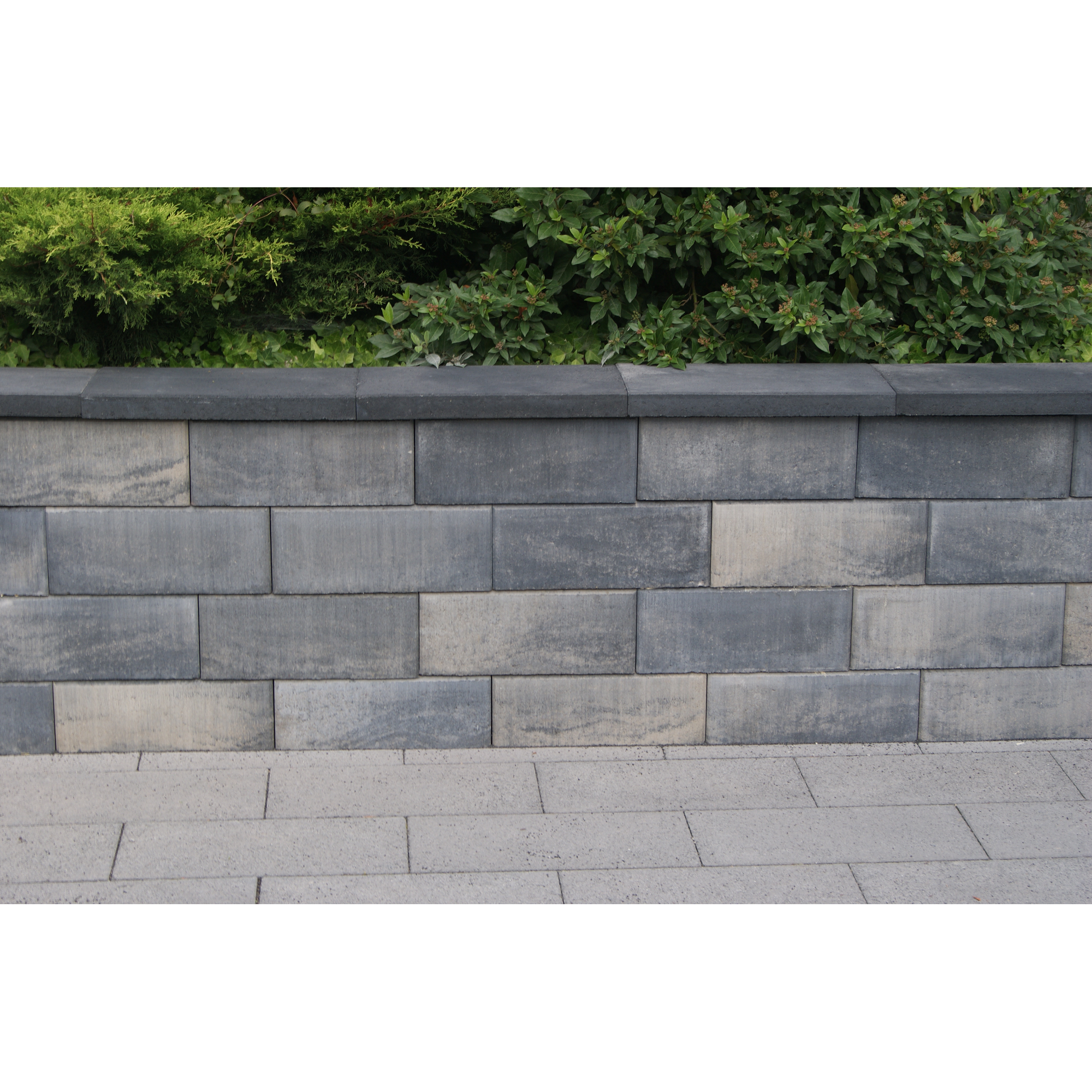 MauerMultistein �Bellamur Mini� 40 x 20 x 16,5 cm grau